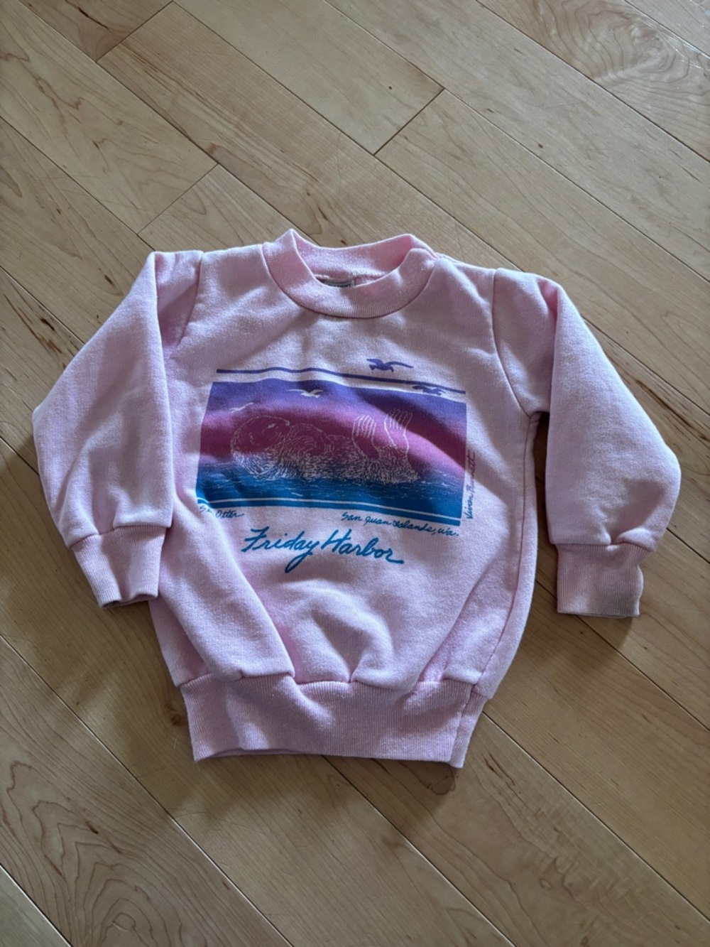 Kids Vintage Friday Harbor Sweatshirt